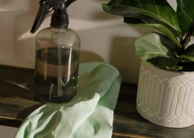 cleaning 01 cleaning supplies shelf